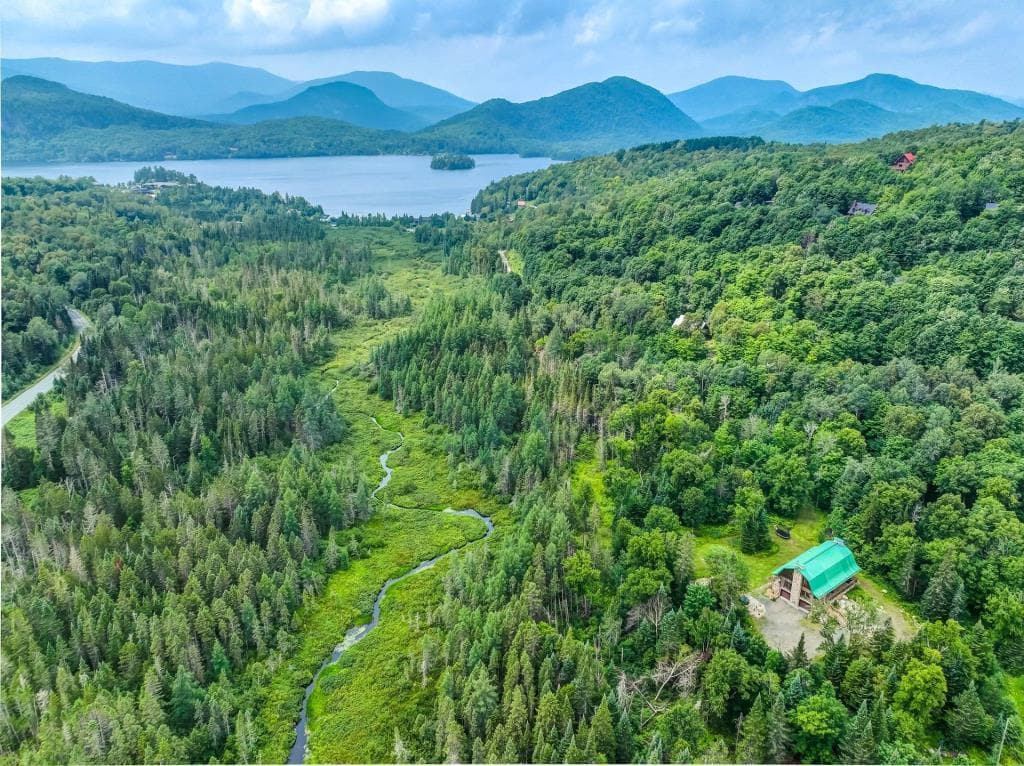 Aerial view over forest toward the lake and mountains