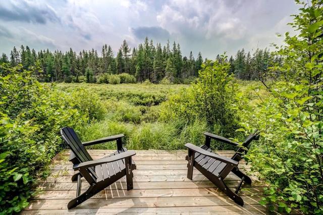 Two Muskoka chairs on the deck facing the wetland