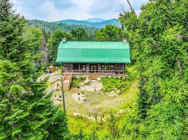 The green-roofed station from above in summer
