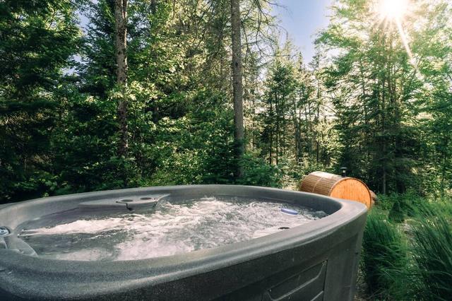 The hot tub surrounded by forest in summer