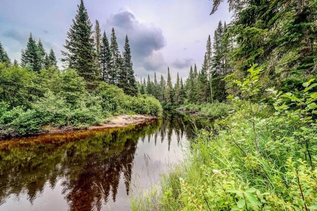 River bend with forest on both banks